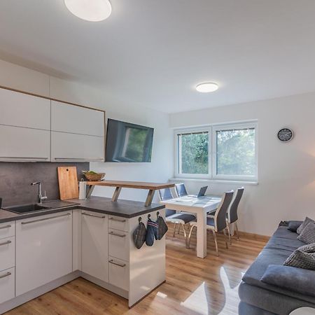Apartman Černá v Pošumaví Екстериор снимка